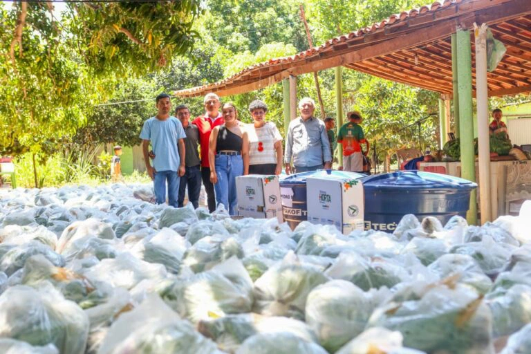 Mais de 13 toneladas de toneladas de alimentos são entregues em Pedro II