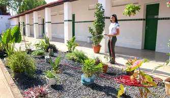 Produção da horta escolar