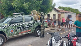 Polícia Ambiental apreende 40 aves