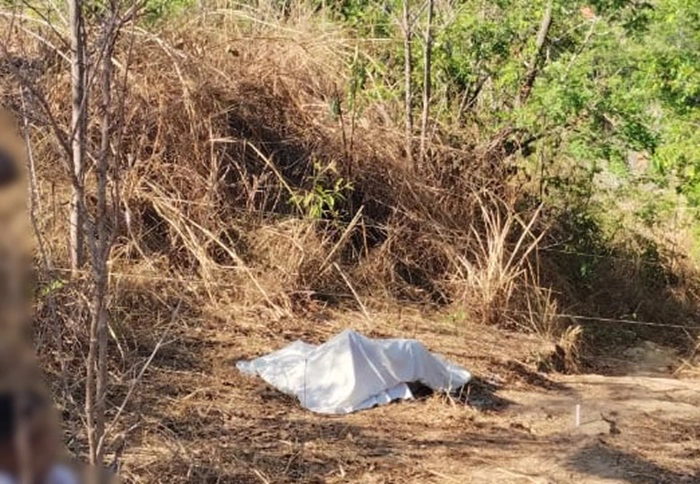 Homem é morto a facadas no município de Palmeirais