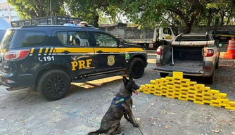 Apreensão de drogas em Teresina