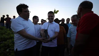 Mudas de plantas são distribuídas