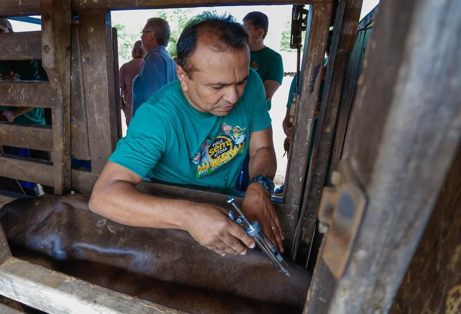 Secretário da Sada, Fábio Abreu