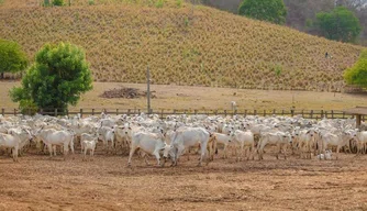 Segunda etapa da Campanha de Vacinação