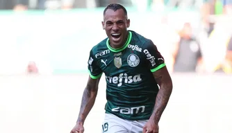 Palmeiras