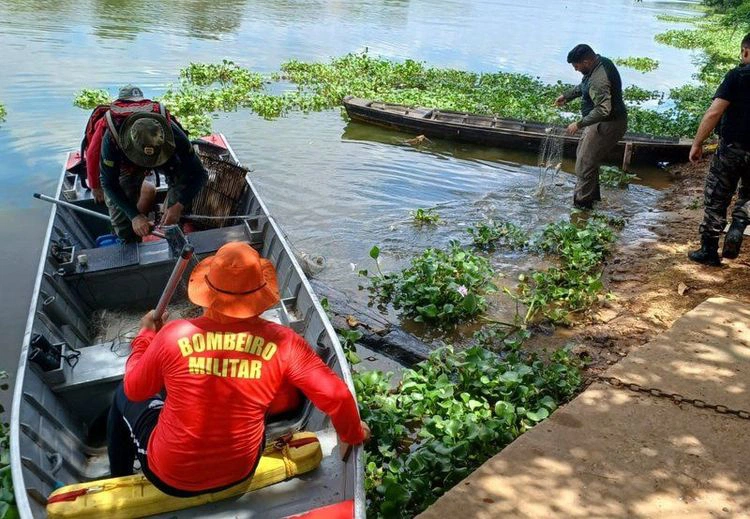 Secretária de Estado do Meio Ambiente e Recursos Hídricos