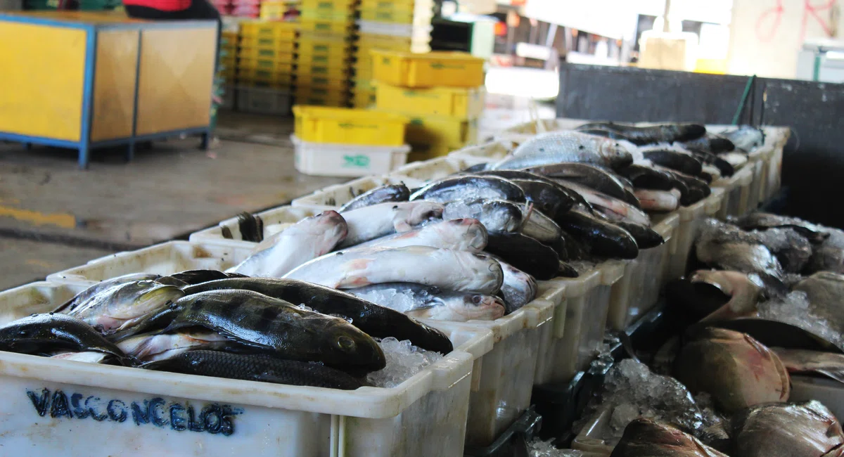 Mercado do Peixe, Bairro São João.