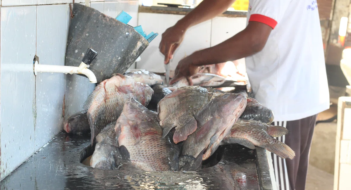 Mercado do Peixe, Bairro São João.