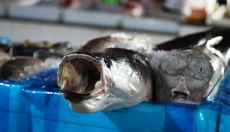 Mercado do Peixe, Bairro São João.