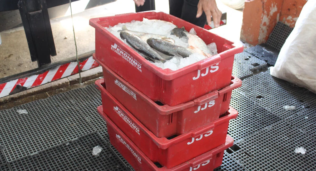 Mercado do Peixe, Bairro São João.