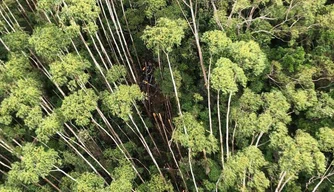 Helicóptero desaparecido é localizado em área de mata em Paraibuna (SP)