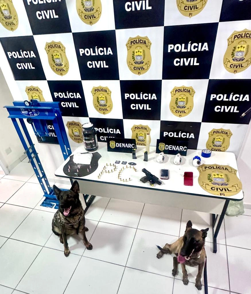 Apreensão de drogas e armas em Teresina