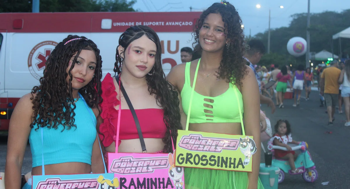 Fantasias Corso Teresina 2024