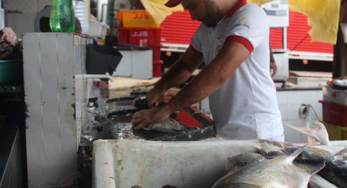 Mercado do peixe tem expectativa de aumento nas vendas na semana santa