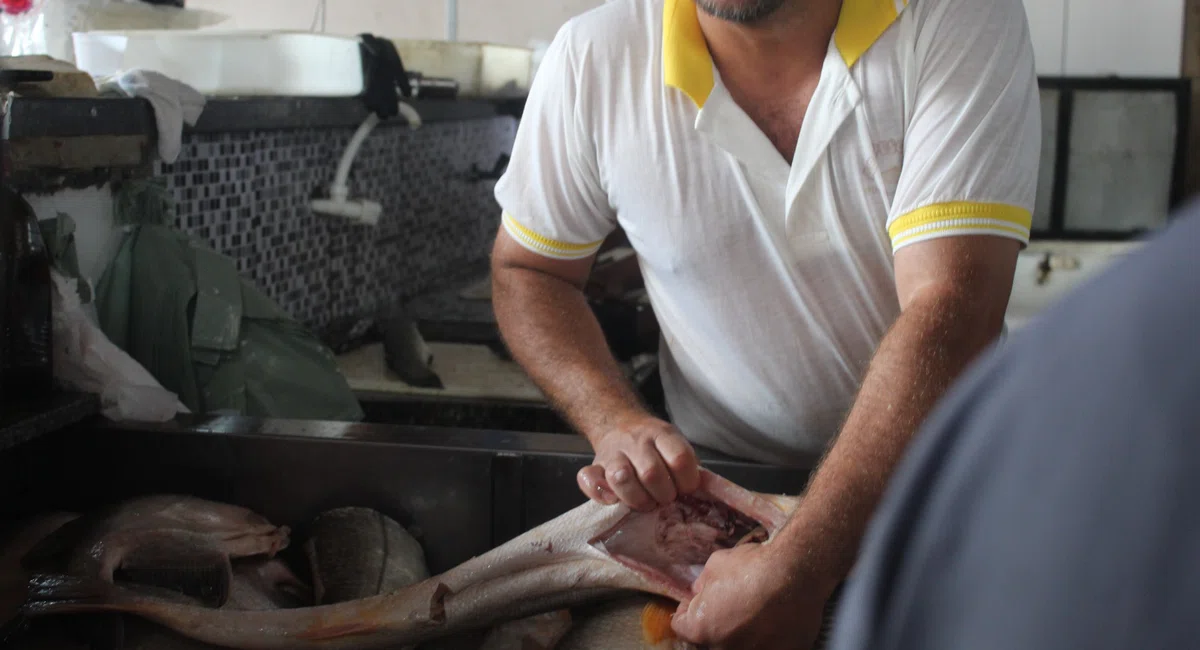 Mercado do peixe tem expectativa de aumento nas vendas na semana santa