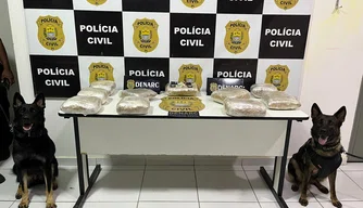 Polícia Civil apreende 10kg de skank em ônibus de viagem