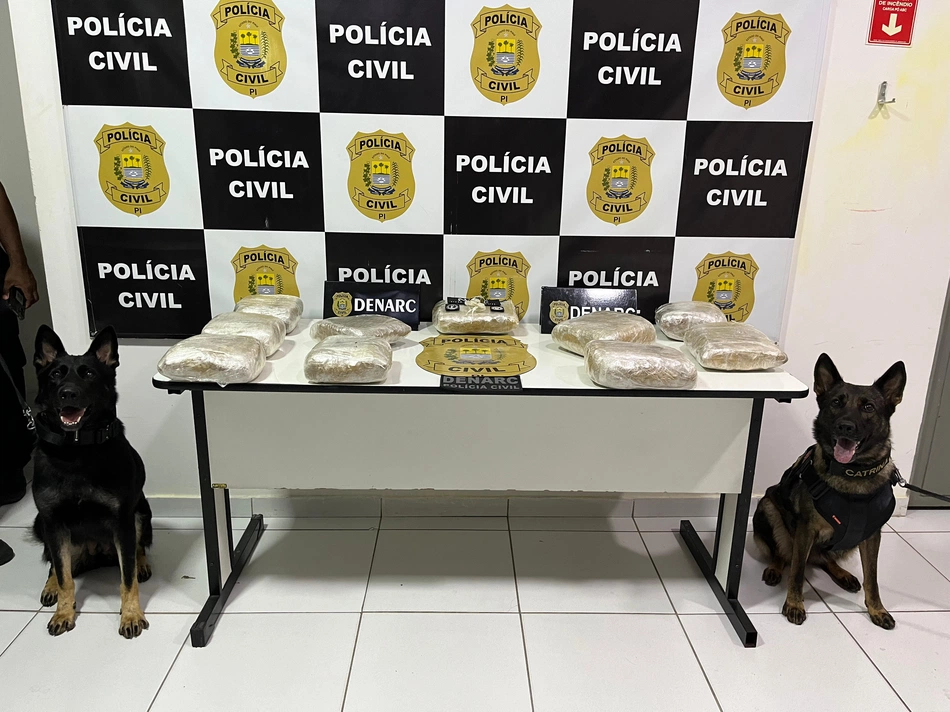 Polícia Civil apreende 10kg de skank em ônibus de viagem