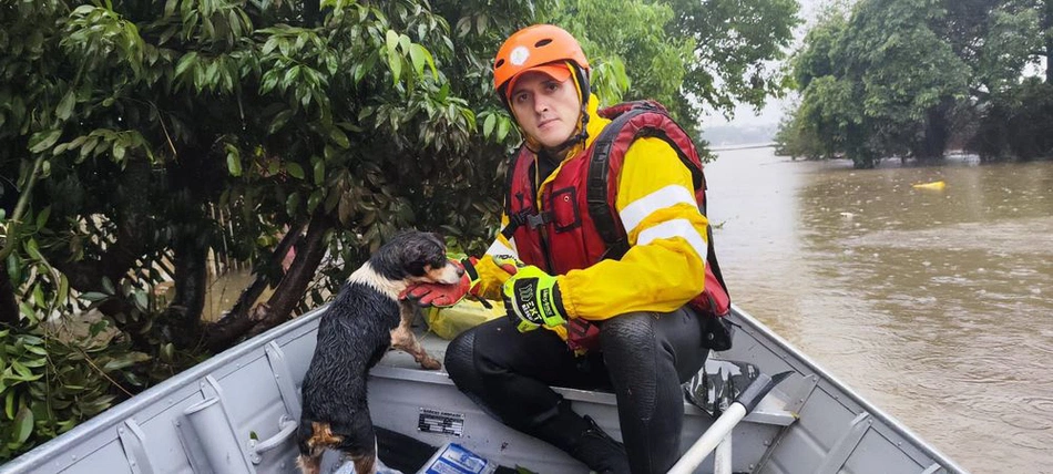 Bombeiros do Piauí ajudam a resgatar mais de 30 animais no Rio Grande do Sul