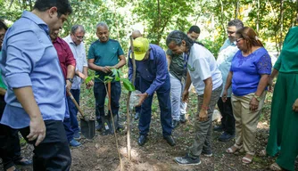 Prefeitura de Teresina inaugura Viveiro de Mudas de plantas zona norte Teresina