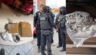 Polícia Civil do Piauí apreende 11 mil quilos de cocaína em 2024