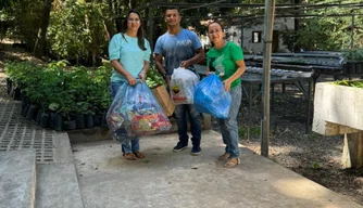 Servidores de Teresina transformam plástico em mudas plantas