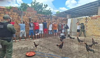 PM prende 14 pessoas em rinha de galos na cidade de Parnaíba