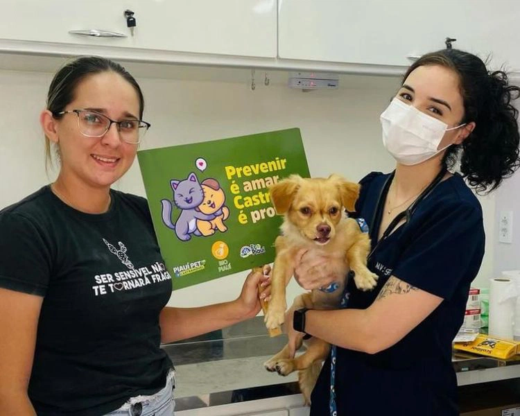 Projeto itinerante Piauí Pet Castramóvel