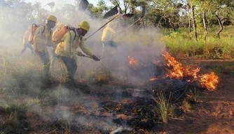 Queimadas no Piauí: alerta para os riscos e a necessidade de conscientização