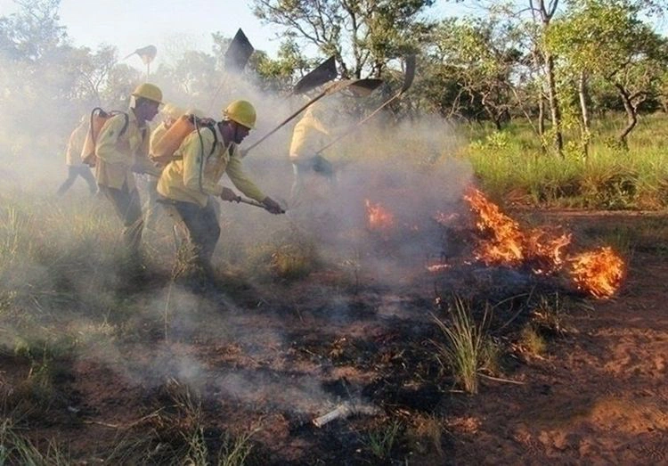 Queimadas no Piauí: alerta para os riscos e a necessidade de conscientização