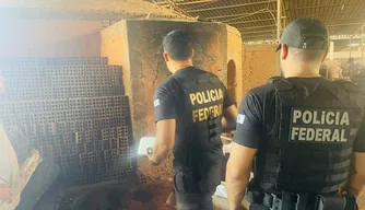 As drogas incineradas foram apreendidas em flagrante e por meio de investigações