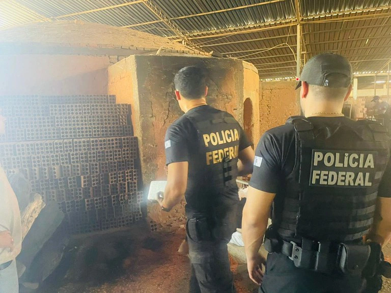 As drogas incineradas foram apreendidas em flagrante e por meio de investigações