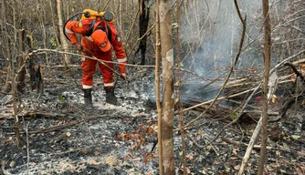 O incêndio demorou quase 24 horas para ser contido