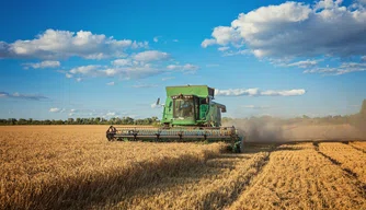 Produção agrícola