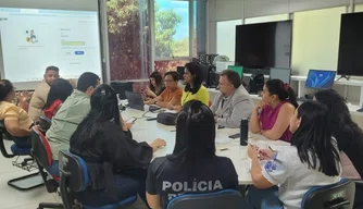 Sesapi realiza reunião para discute o fortalecimento da política de saúde prisional