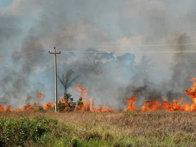 O incêndio atingiu a comunidade no domingo (13)