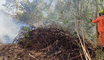 Corpo de Bombeiros combatem incêndio em terreno na UFPI de Teresina