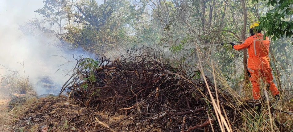 Corpo de Bombeiros combatem incêndio em terreno na UFPI de Teresina