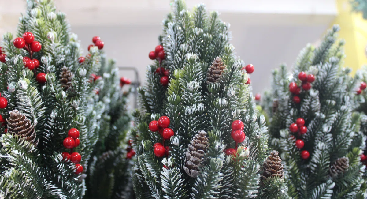 Preparação para um Natal movimentado