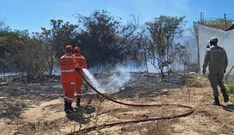Corpo de Bombeiros Militar do Piauí (CBMEPI) combatendo incêndios em vegetação.