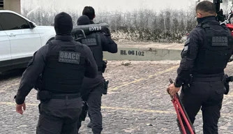 Operação Draco 167