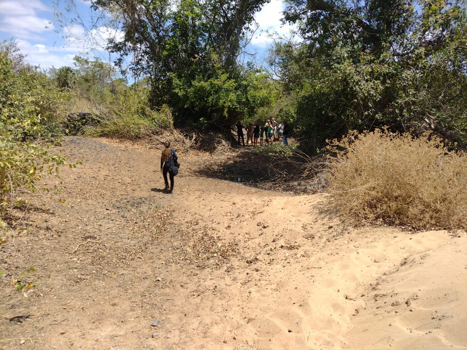 Restos mortais sendo encontrados na zona rural de Luís Correia