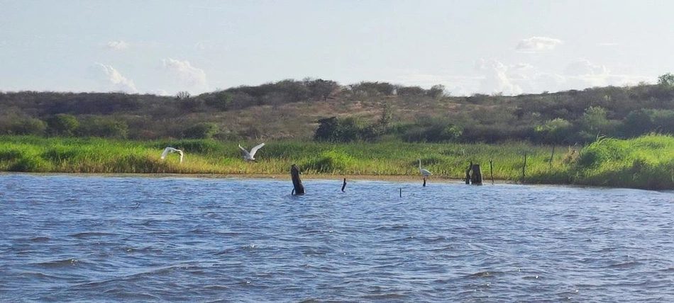 Área de proteção ambiental em Paulistana