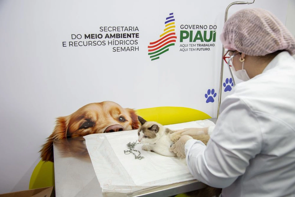 Piauí Pet Castramóvel