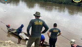 Fiscalização Ambiental