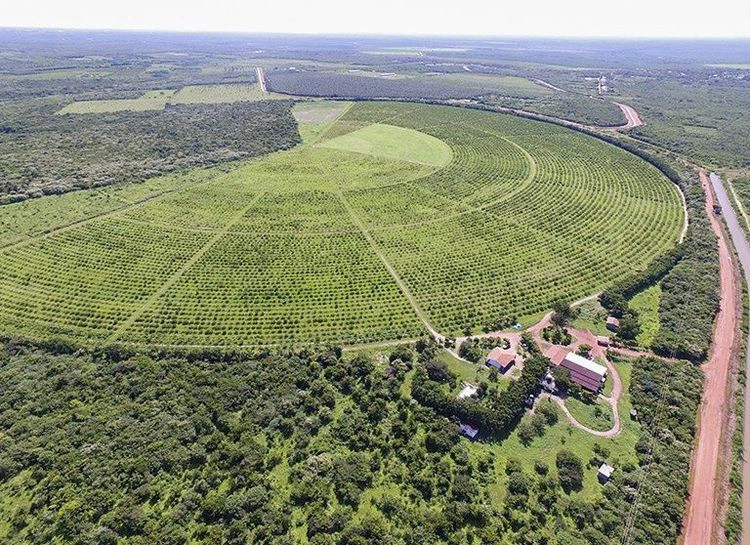 Tabuleiros Litorâneos