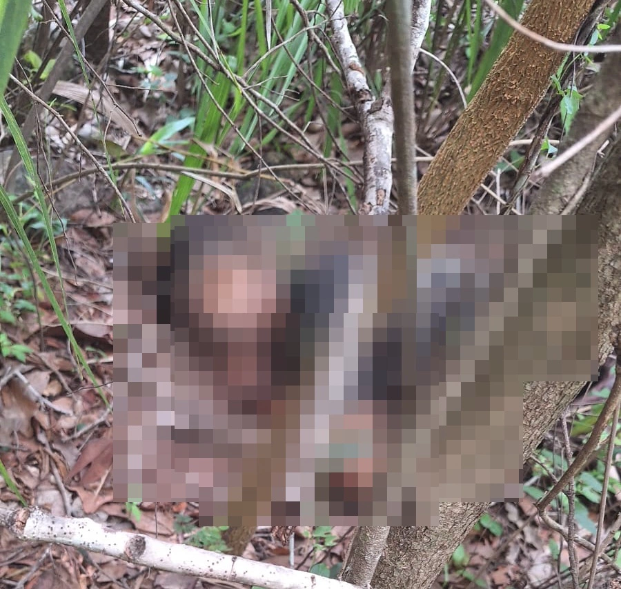 Jovem é encontrado morto em Teresina