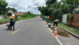 Ação de Limpeza em Teresina