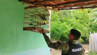 Ação ambiental na zona rural de União