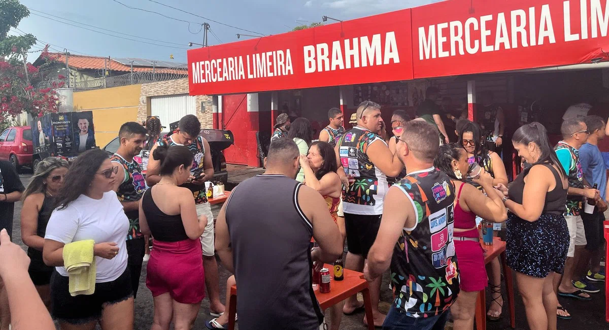 Foliões curtem bloquinho de carnaval no Dirceu II