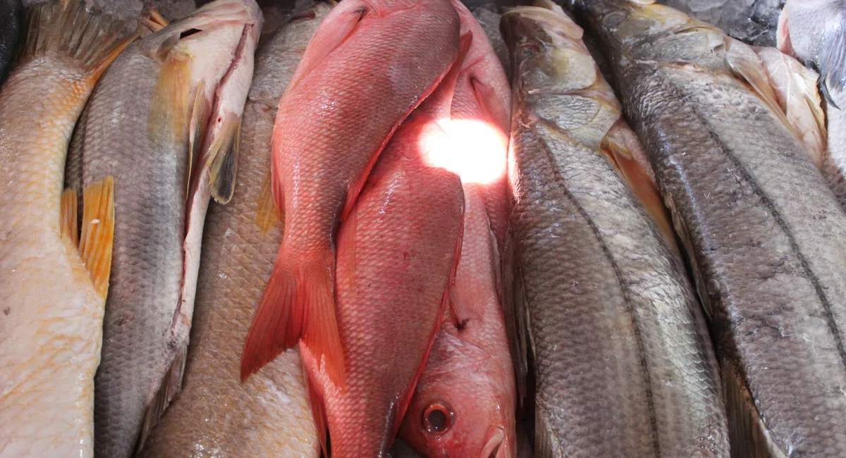 Mercado do Peixe